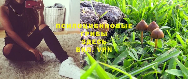 кокс Нея